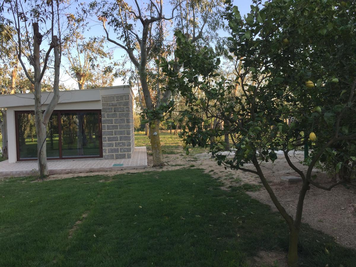 Tenuta Monaci La Murra Carmiano  Екстер'єр фото
